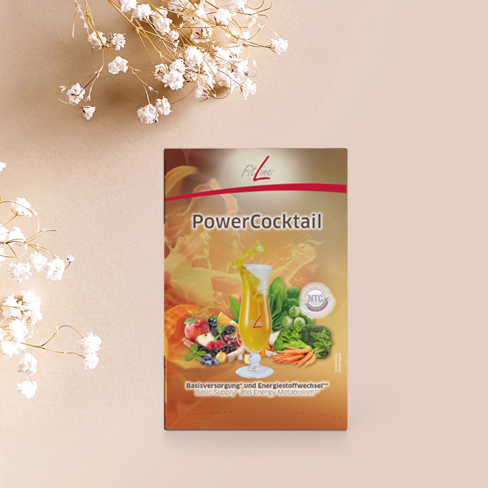 Fitline Powercocktail